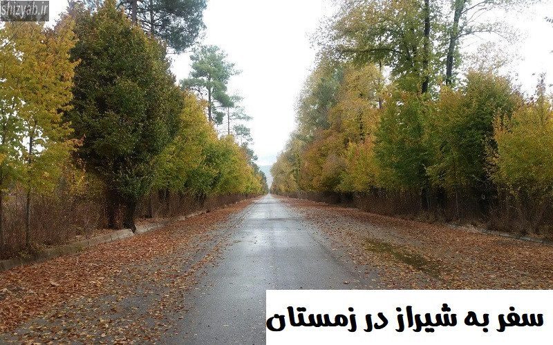 سفر به شیراز در زمستان