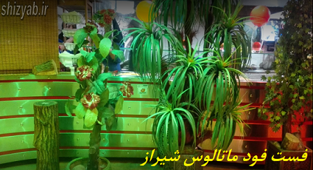 فست فود ماتالوس شیراز