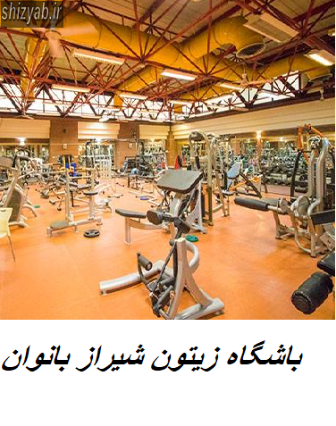 باشگاه زیتون شیراز بانوان