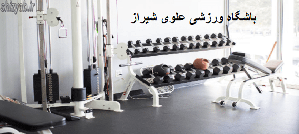 باشگاه ورزشی علوی شیراز