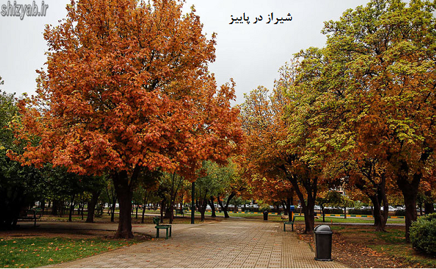 شیراز در پاییز