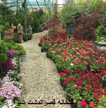 گلخانه های قصرالدشت شیراز