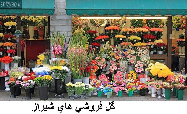 گل فروشي هاي شيراز