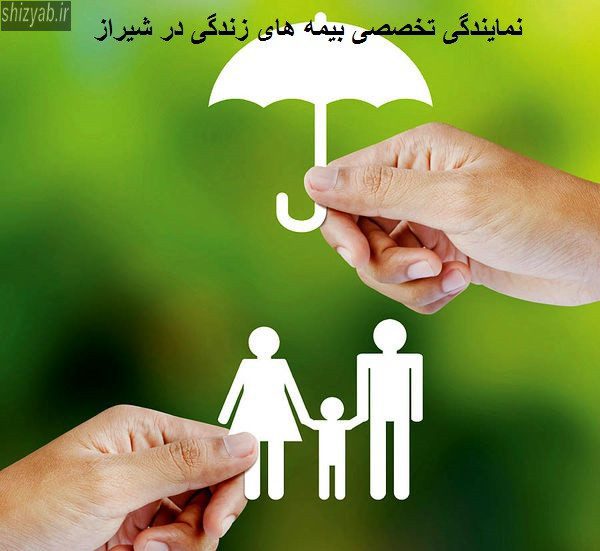 نمایندگی تخصصی بیمه های زندگی در شیراز