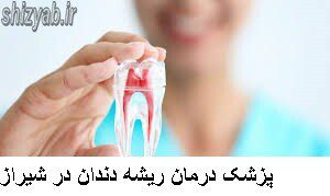 پزشک درمان ریشه دندان در شیراز