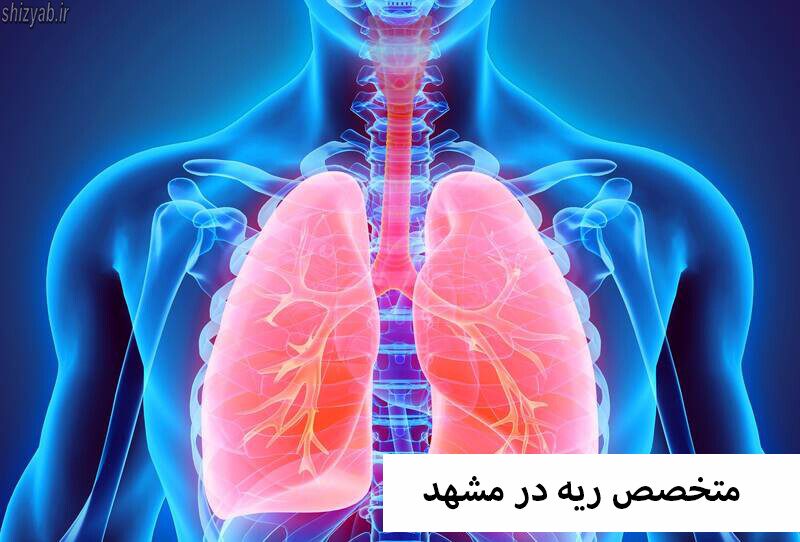 متخصص ریه در مشهد