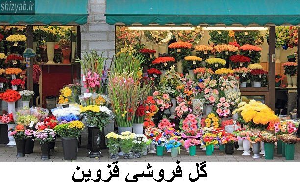 گل فروشي قزوين
