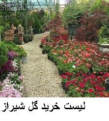 لیست خرید گل شیراز