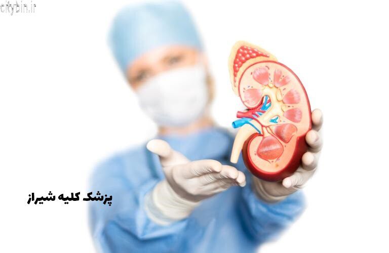 پزشک کلیه شیراز