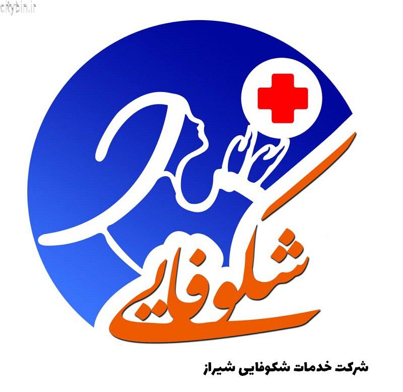 شرکت خدمات شکوفایی شیراز