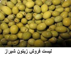 لیست فروش زیتون شیراز