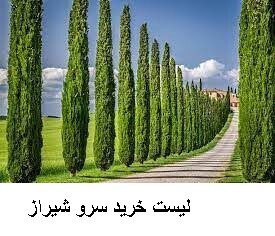 لیست خرید سرو شیراز
