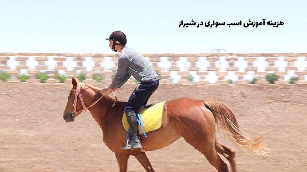 هزینه آموزش اسب سواری در شیراز